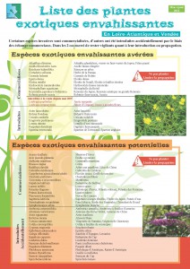 Liste plantes invasives MAJ 2013_Page_1_Page_1_Page_1