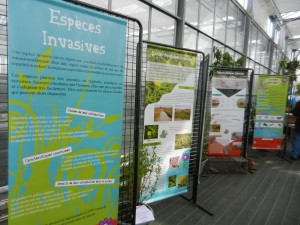 plantes et nature 2013 093