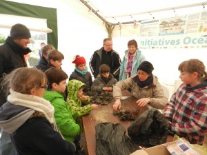 retour de la chasse aux oeufs de raie